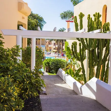 Hotel Livvo Koala Garden Maspalomas (Gran Canaria)